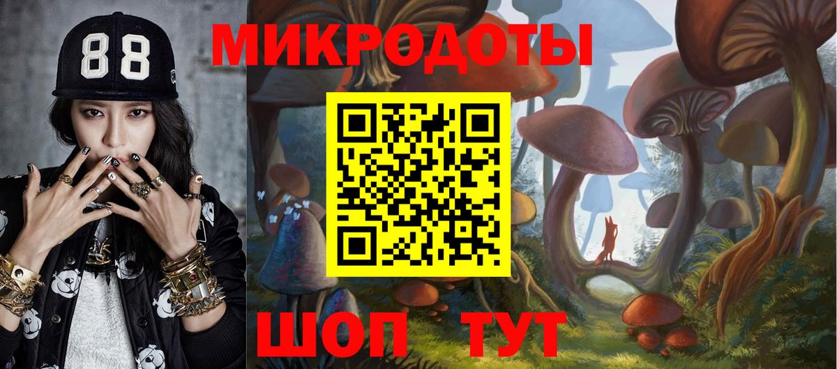 Дальнереченск  Псилоцибиновые грибы Psilocybe  Вход с VPN  Псилоцибиновые грибы GOLDEN TEACHER 